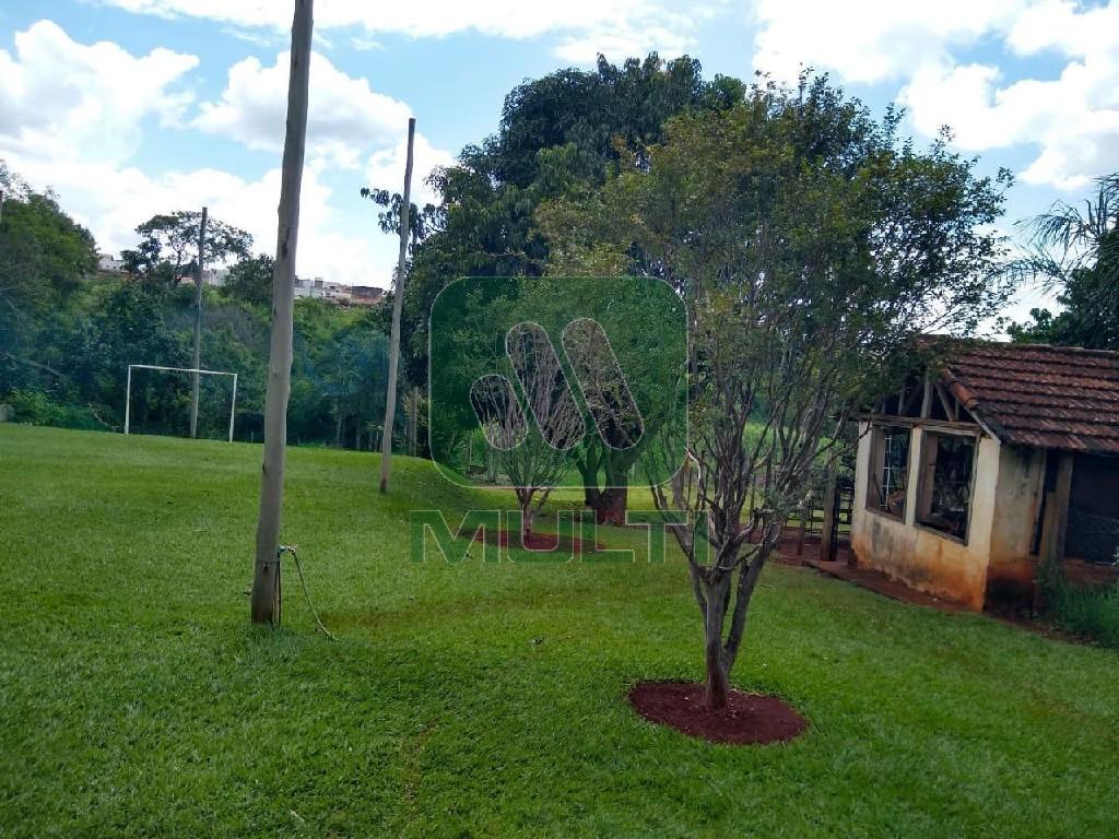 Fazenda à venda com 3 quartos, 1580m² - Foto 4