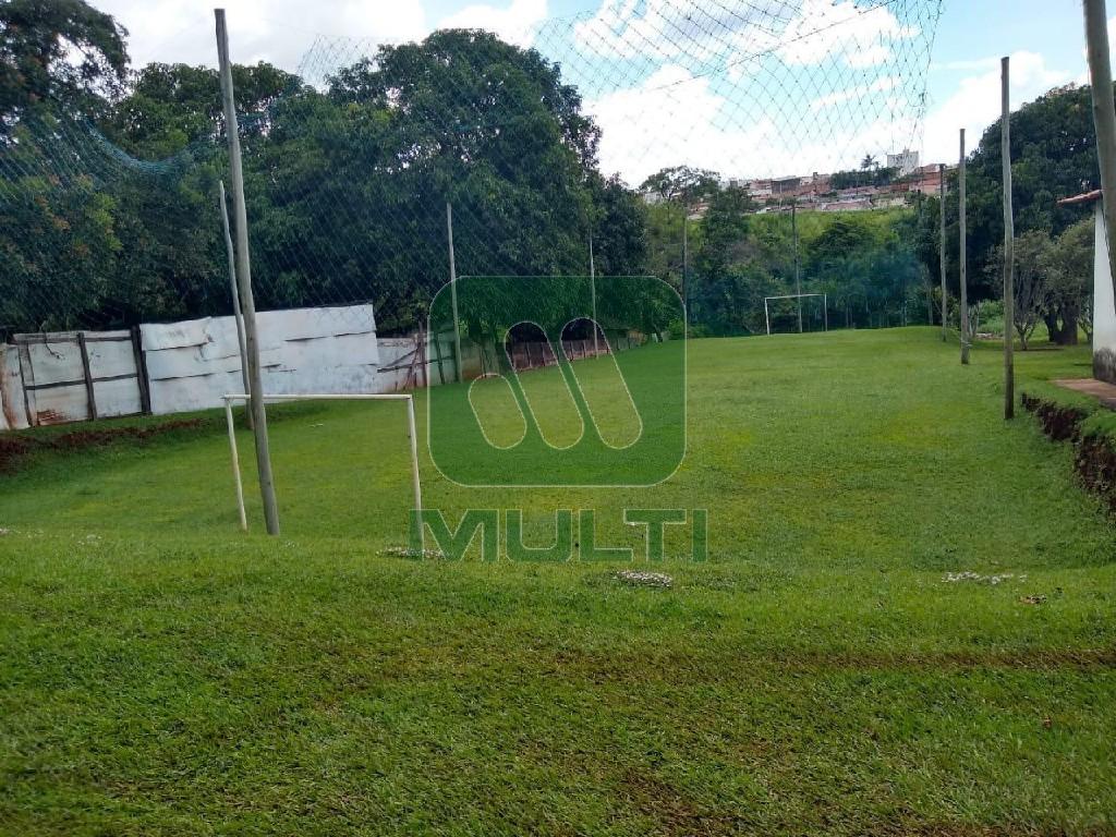 Fazenda à venda com 3 quartos, 1580m² - Foto 5