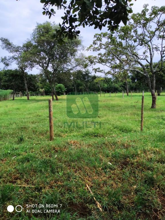 Fazenda à venda com 1 quarto, 500m² - Foto 17