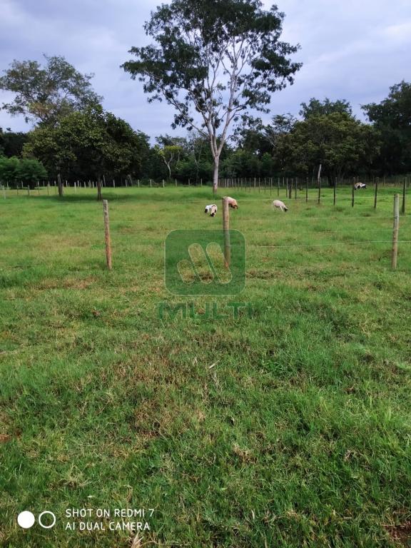 Fazenda à venda com 1 quarto, 500m² - Foto 20