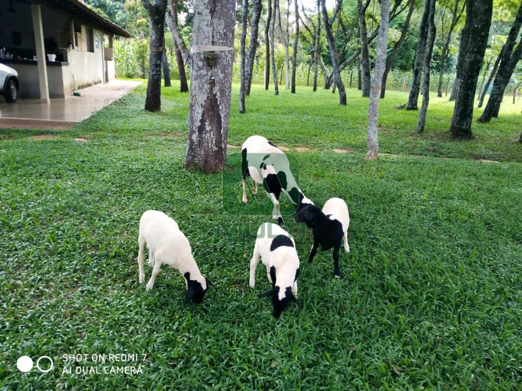 Fazenda à venda com 1 quarto, 500m² - Foto 21