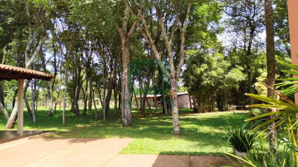 Fazenda à venda com 1 quarto, 500m² - Foto 47