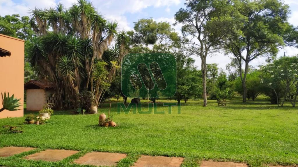 Fazenda à venda com 1 quarto, 500m² - Foto 49