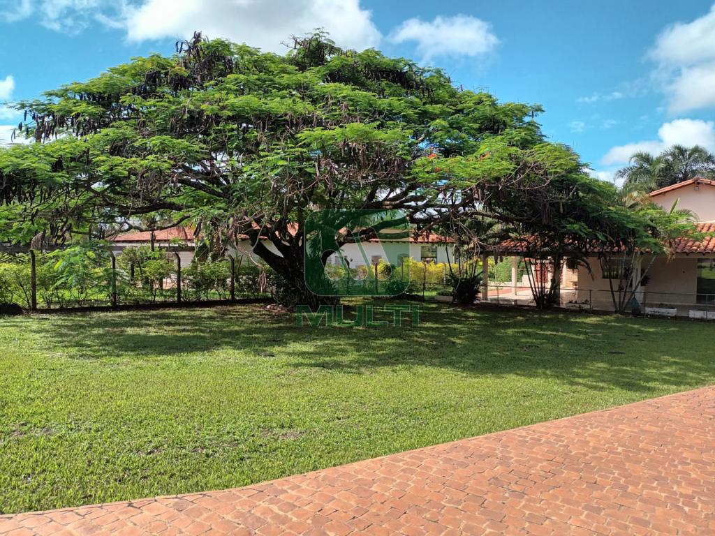 Fazenda à venda com 3 quartos, 652m² - Foto 16