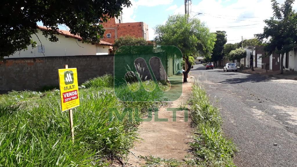 Terreno à venda com 1 quarto, 600m² - Foto 2