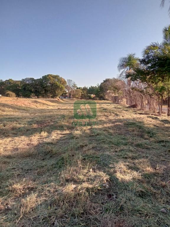 Terreno à venda com 1 quarto, 1m² - Foto 3