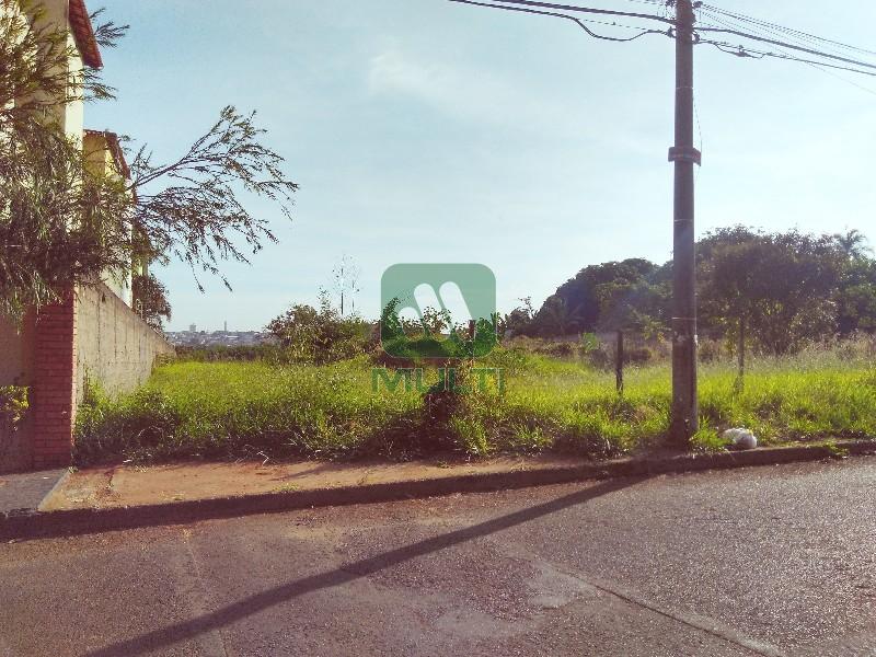 Fazenda à venda com 1 quarto, 1500m² - Foto 2