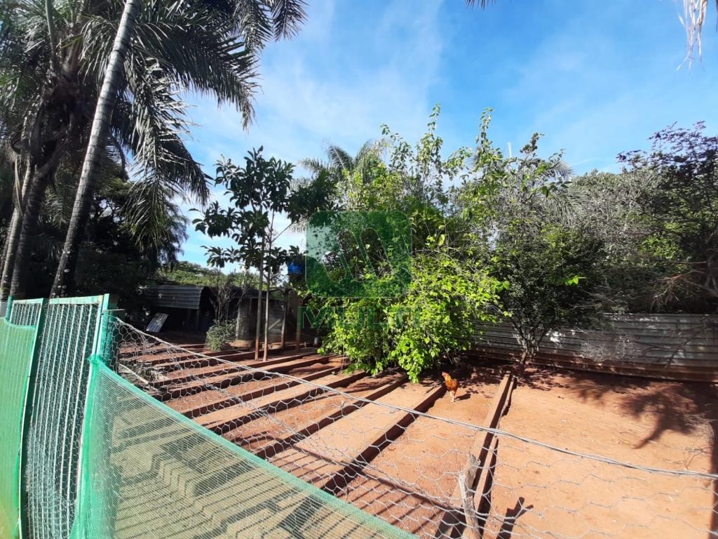 Fazenda à venda com 6 quartos, 500m² - Foto 16