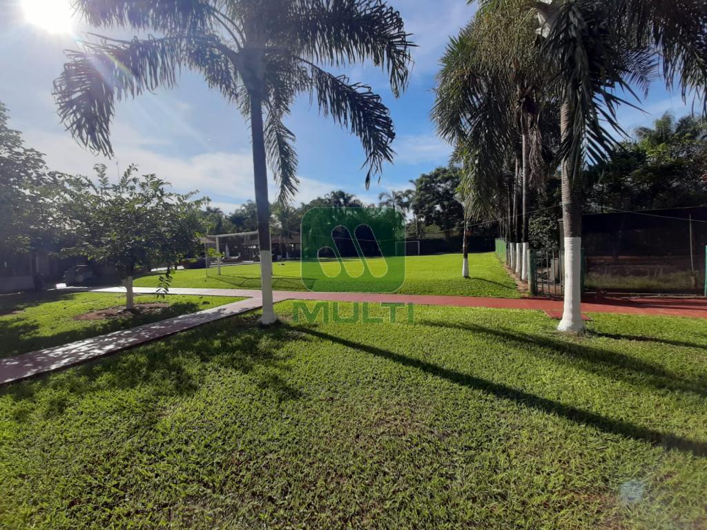 Fazenda à venda com 6 quartos, 500m² - Foto 26