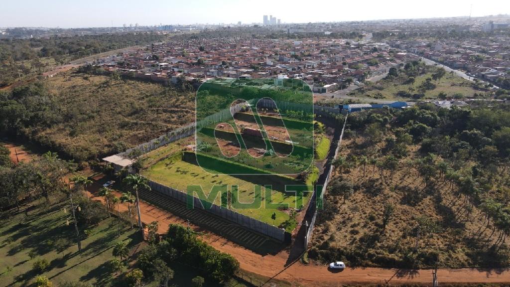 Fazenda à venda com 1 quarto, 7800m² - Foto 3