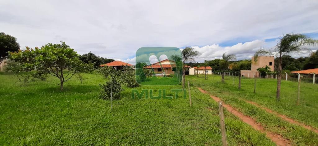 Fazenda à venda com 5 quartos, 500m² - Foto 30