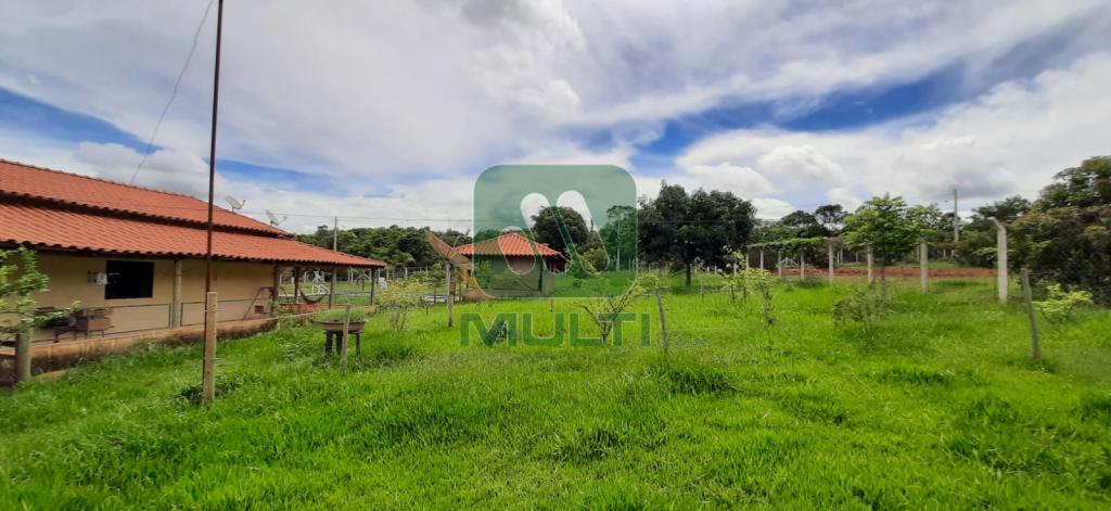 Fazenda à venda com 5 quartos, 500m² - Foto 31