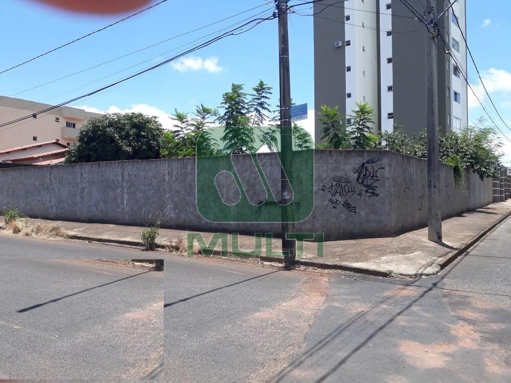 Terreno à venda com 1 quarto, 760m² - Foto 3