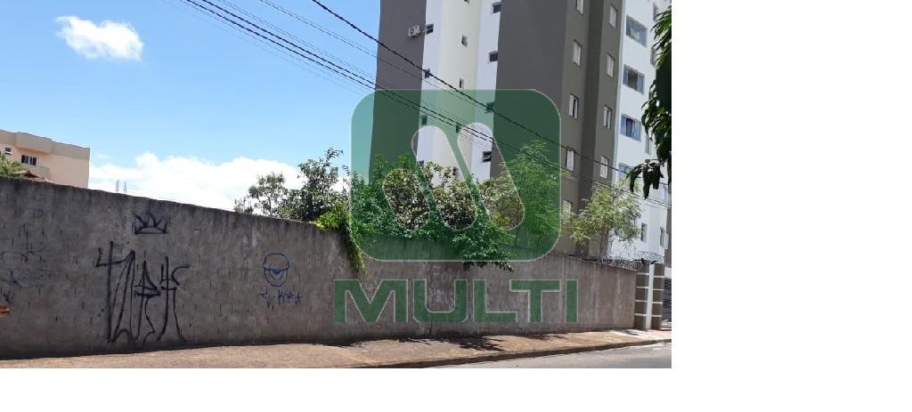 Terreno à venda com 1 quarto, 760m² - Foto 4