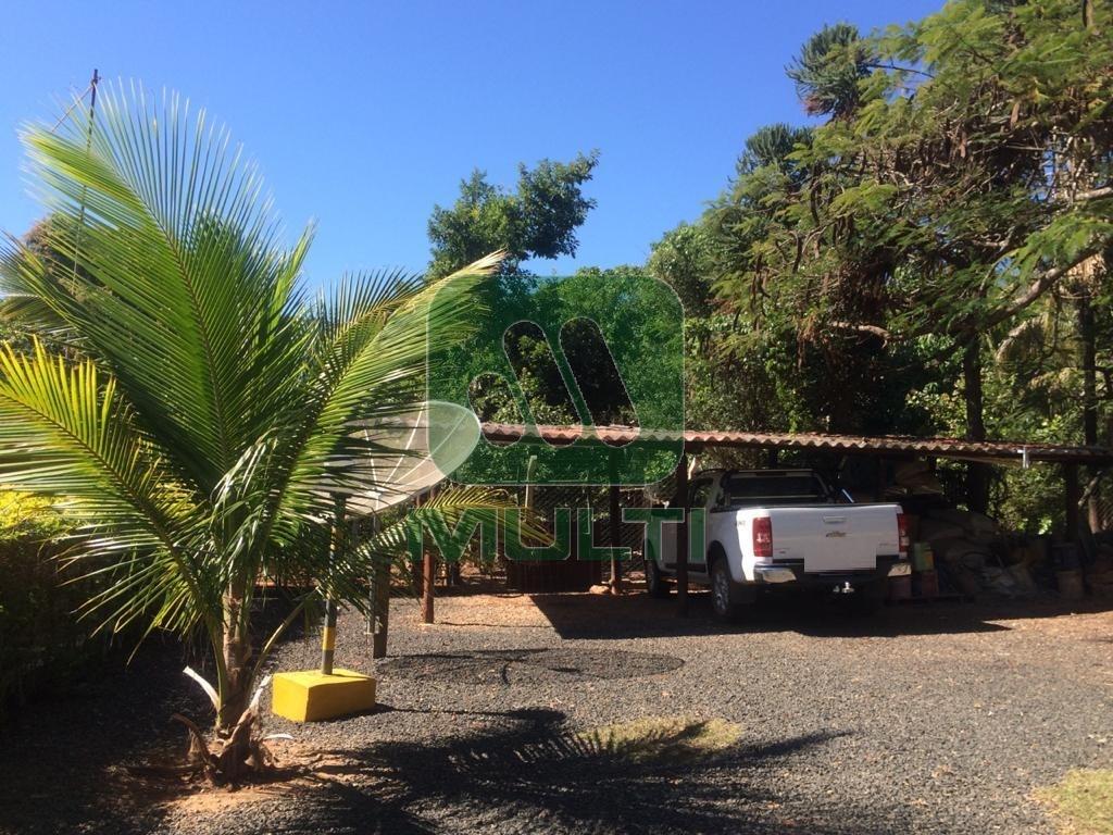 Fazenda à venda com 1 quarto, 400m² - Foto 15