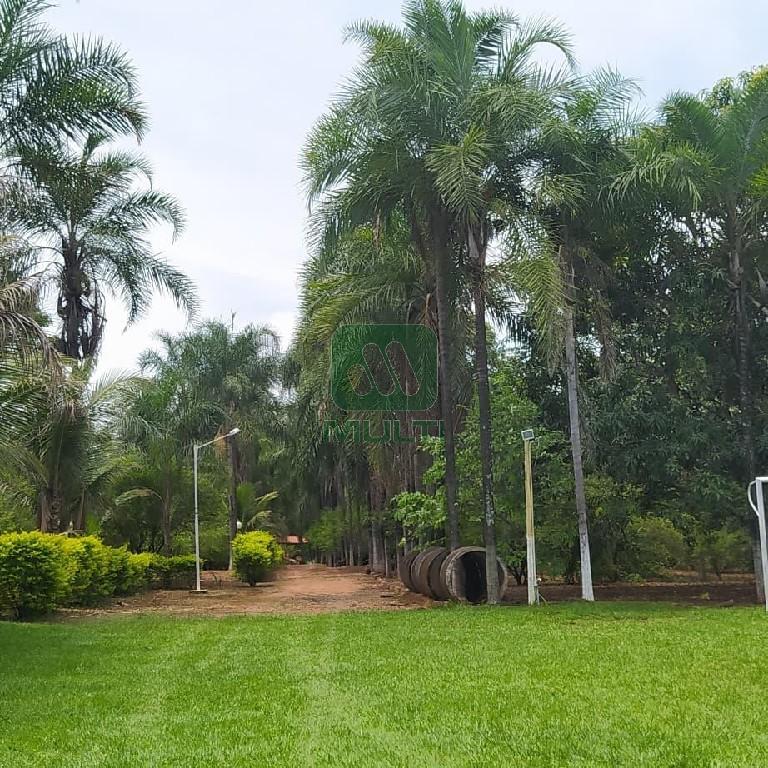 Fazenda à venda com 1 quarto, 400m² - Foto 30