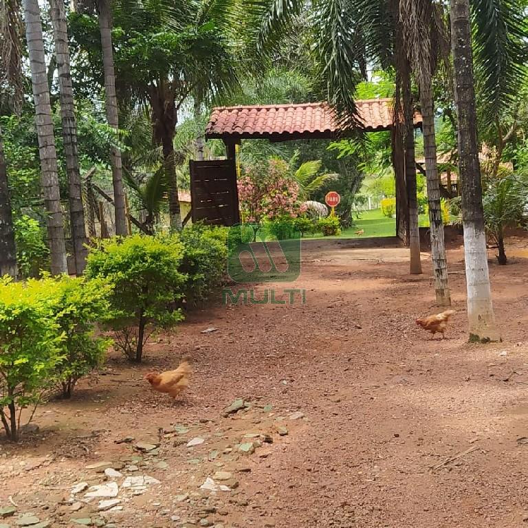 Fazenda à venda com 1 quarto, 400m² - Foto 32