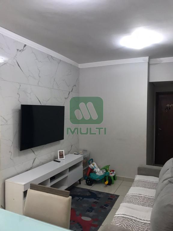 Apartamento à venda com 2 quartos, 55m² - Foto 3