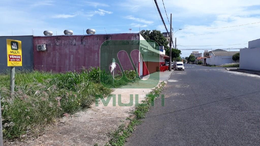 Loteamento e Condomínio à venda com 1 quarto, 900m² - Foto 3