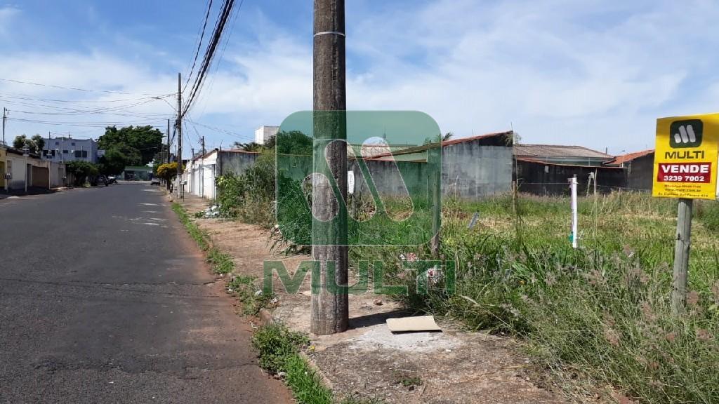 Loteamento e Condomínio à venda com 1 quarto, 900m² - Foto 4