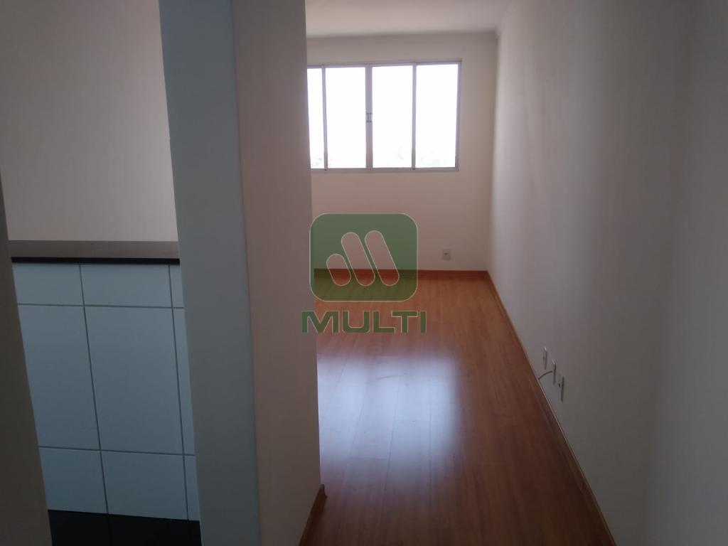 Apartamento à venda com 2 quartos, 50m² - Foto 2