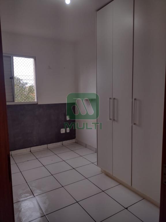 Apartamento à venda com 3 quartos, 54m² - Foto 13