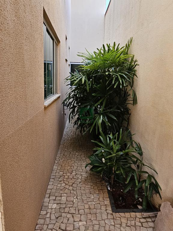 Casa à venda com 3 quartos, 200m² - Foto 12