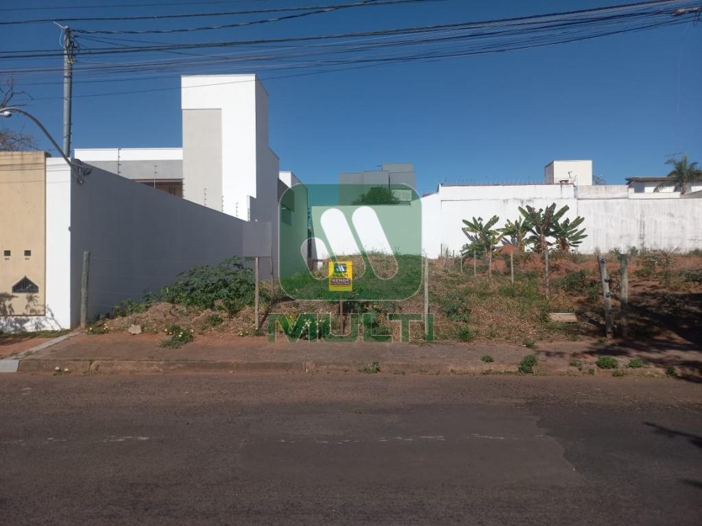 Terreno à venda com 1 quarto, 300m² - Foto 3