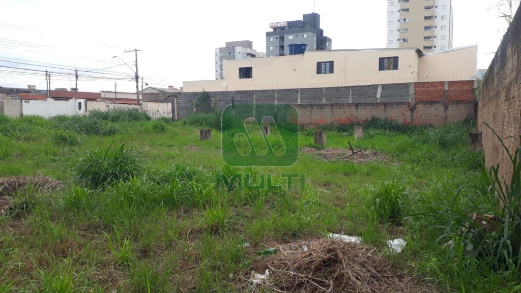 Terreno à venda com 1 quarto, 1022m² - Foto 13