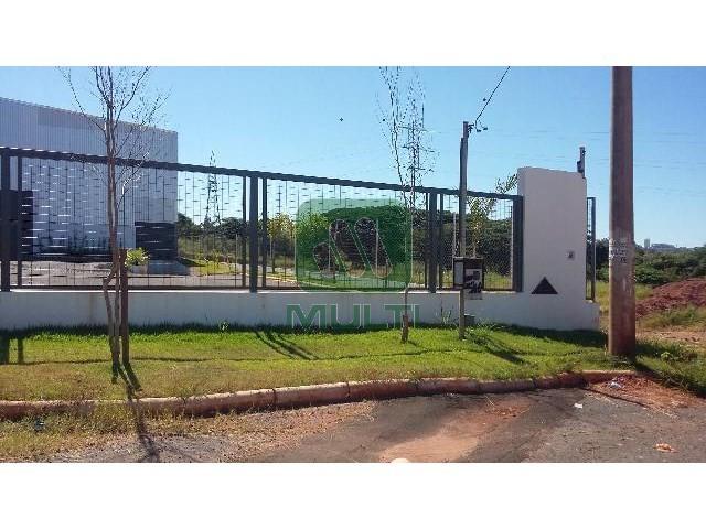 Fazenda à venda com 1 quarto, 1500m² - Foto 6