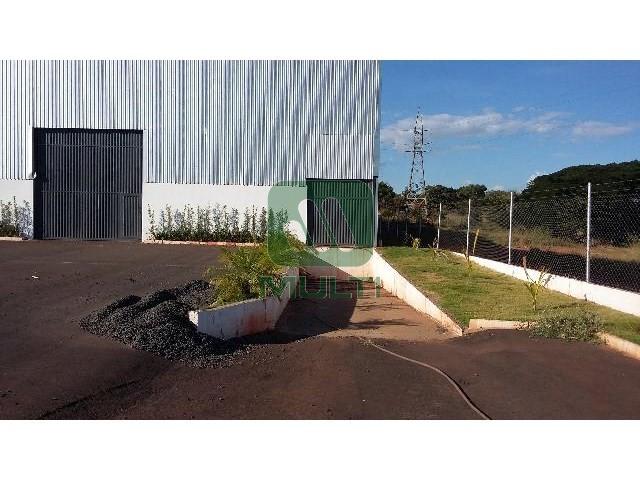 Fazenda à venda com 1 quarto, 1500m² - Foto 12