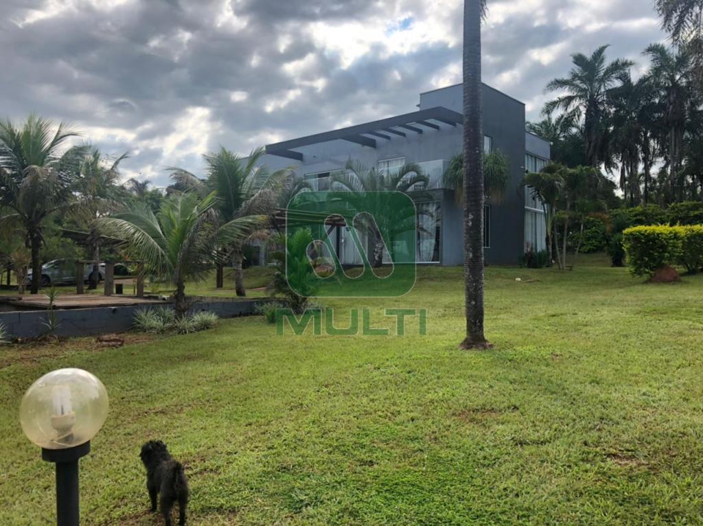 Fazenda à venda com 3 quartos, 380m² - Foto 13