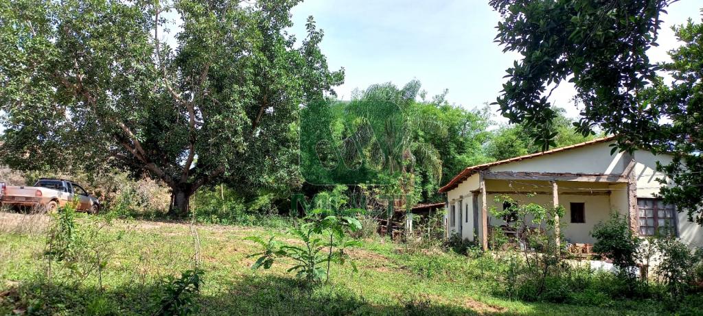 Fazenda à venda com 3 quartos, 1m² - Foto 1