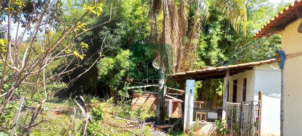 Fazenda à venda com 3 quartos, 1m² - Foto 5