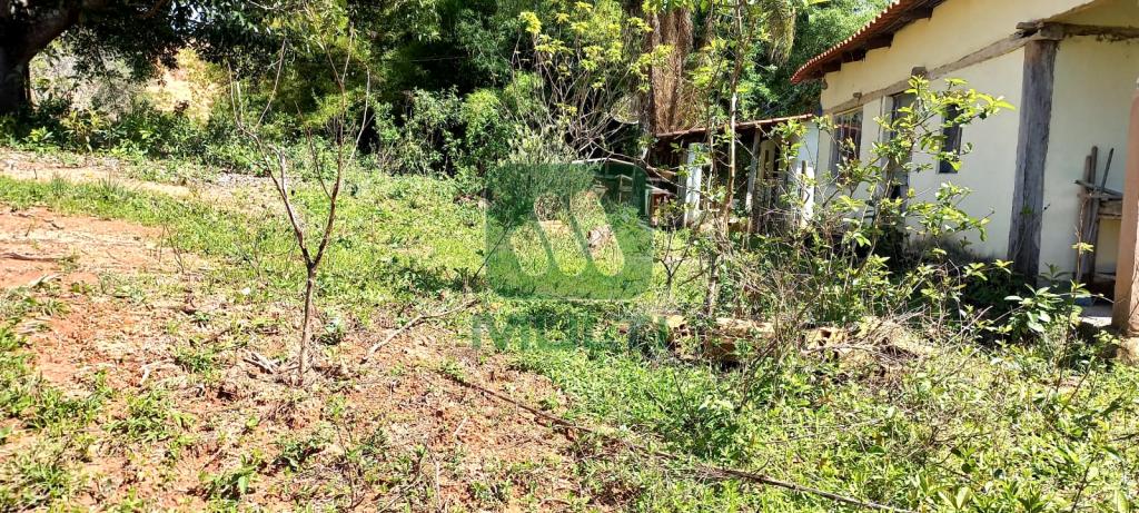 Fazenda à venda com 3 quartos, 1m² - Foto 6