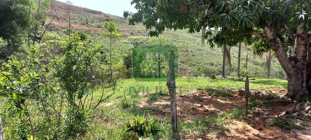 Fazenda à venda com 3 quartos, 1m² - Foto 10