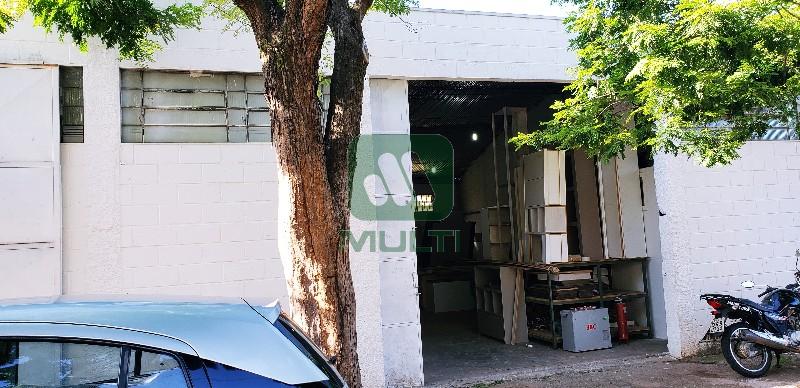 Fazenda à venda com 1 quarto, 387m² - Foto 8