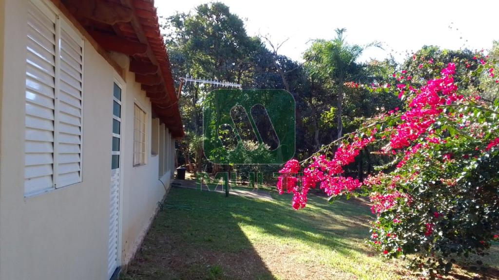 Fazenda à venda com 5 quartos, 200m² - Foto 13