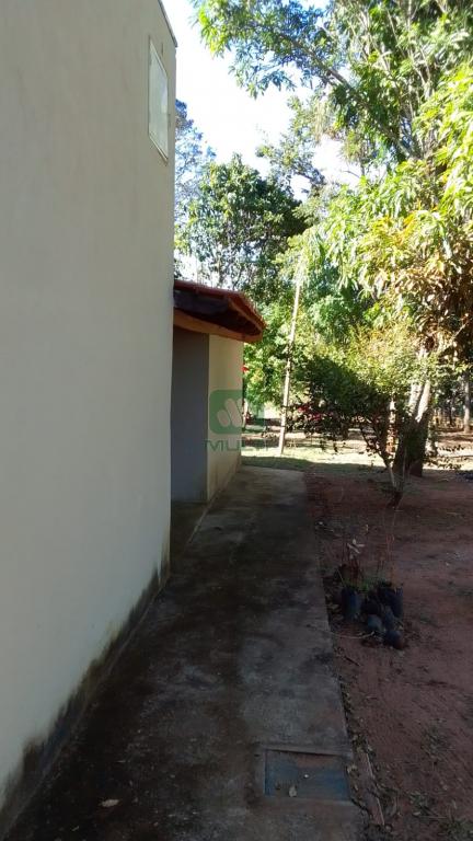 Fazenda à venda com 5 quartos, 200m² - Foto 14