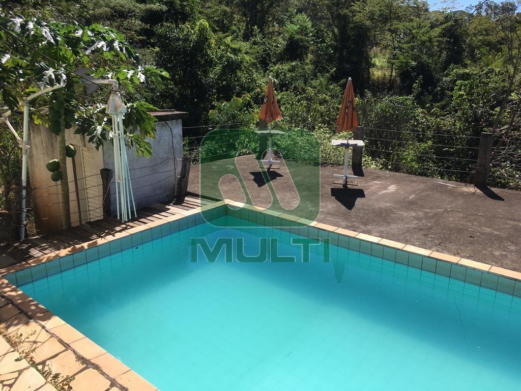 Fazenda à venda com 1 quarto, 24200m² - Foto 3