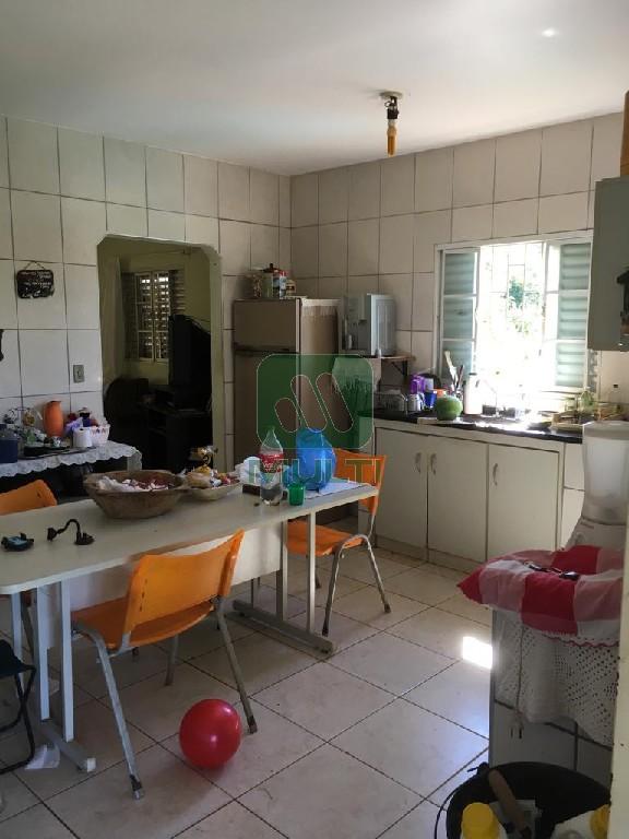 Fazenda à venda com 1 quarto, 24200m² - Foto 10