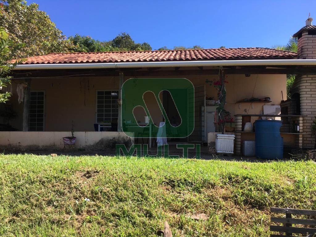 Fazenda à venda com 1 quarto, 24200m² - Foto 14