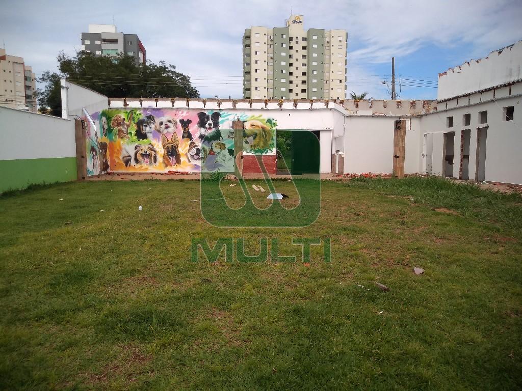 Terreno à venda com 1 quarto, 1000m² - Foto 2