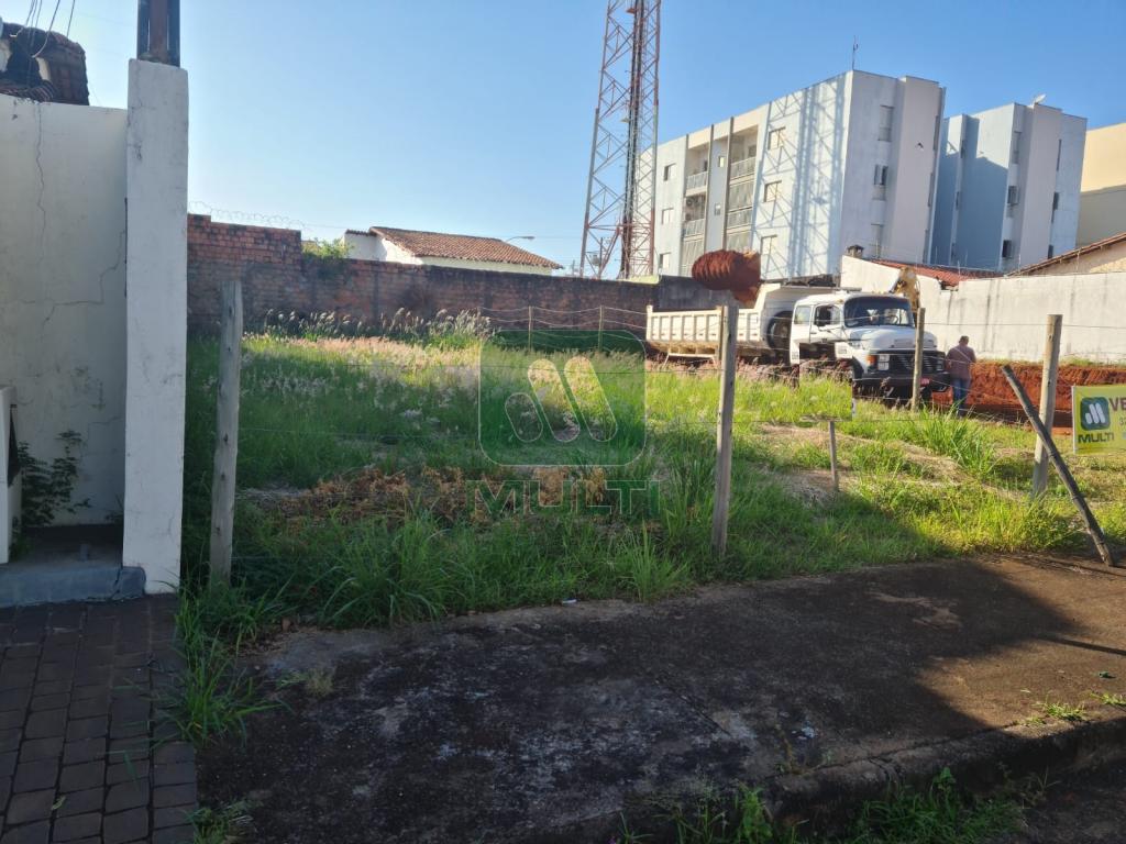 Terreno à venda com 1 quarto, 300m² - Foto 1