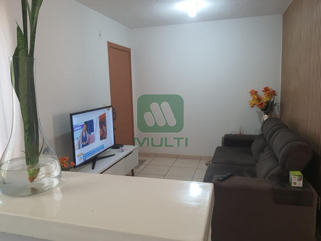 Apartamento à venda com 2 quartos, 45m² - Foto 5