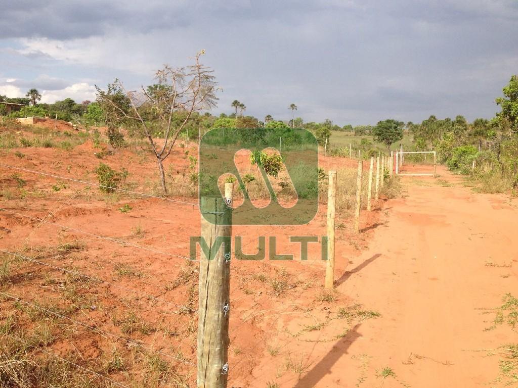 Fazenda à venda com 1 quarto, 4000m² - Foto 4