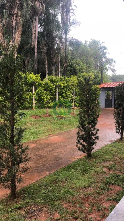 Fazenda à venda com 3 quartos, 285m² - Foto 14