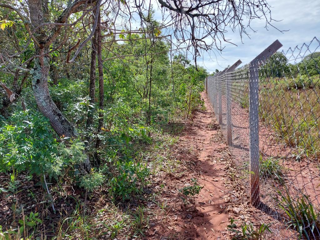 Fazenda à venda com 1 quarto, 20000m² - Foto 1