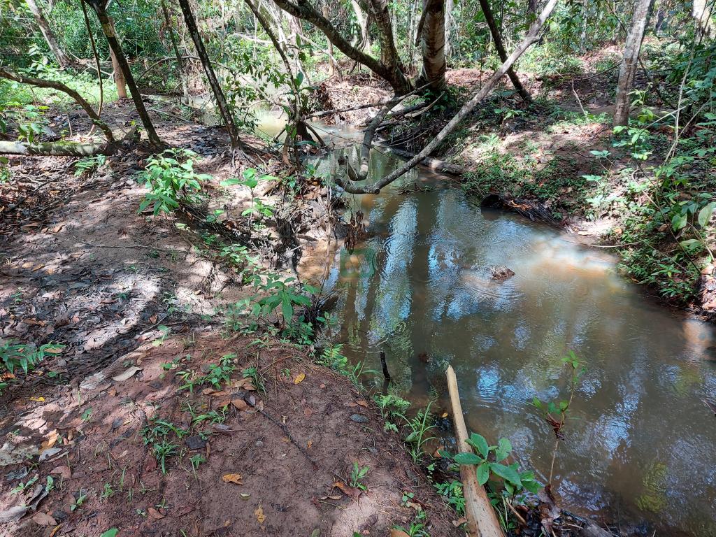 Fazenda à venda com 1 quarto, 20000m² - Foto 3