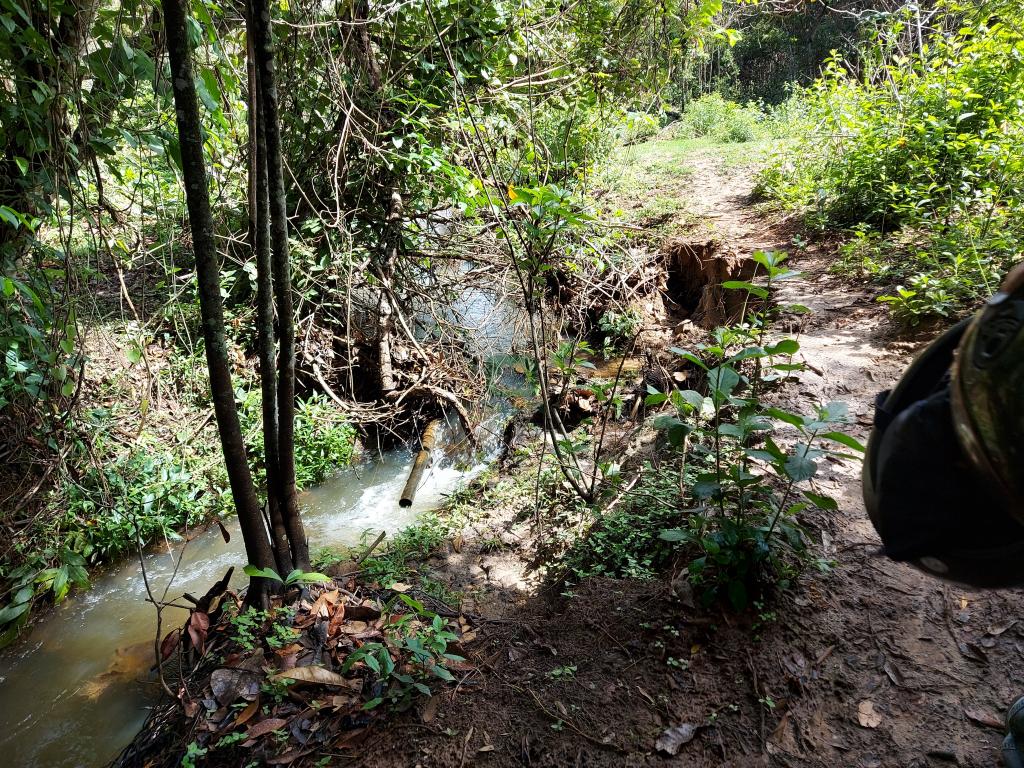 Fazenda à venda com 1 quarto, 20000m² - Foto 4